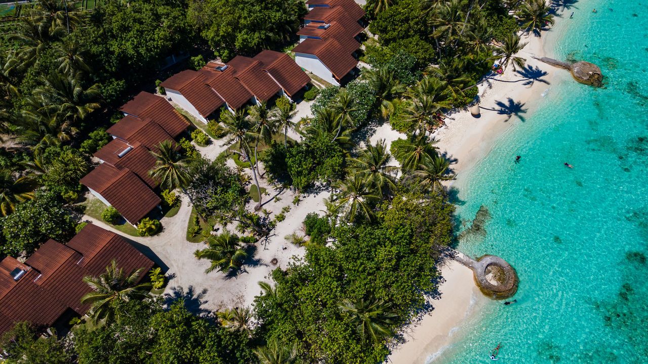 Standard Beachfront Room