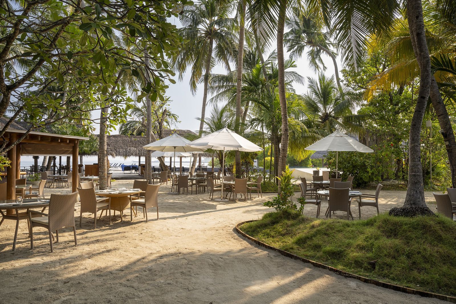 Island Coffee Shop