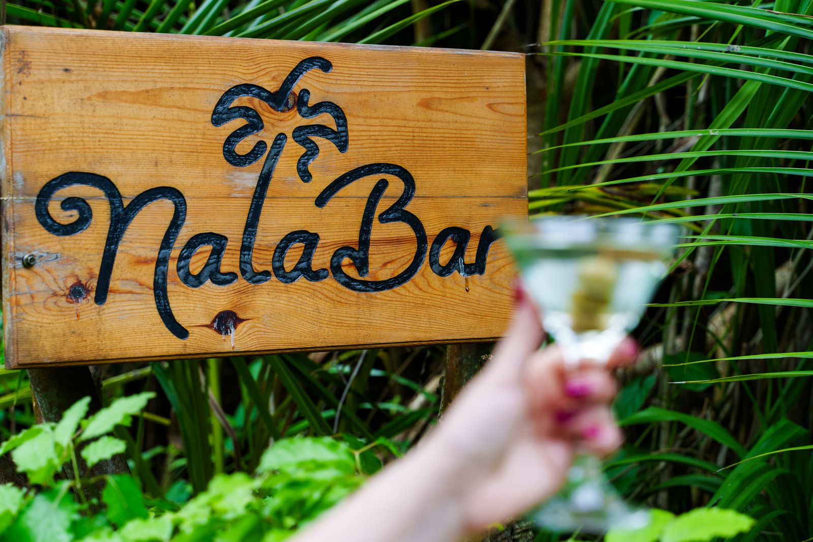 NALA BAR
