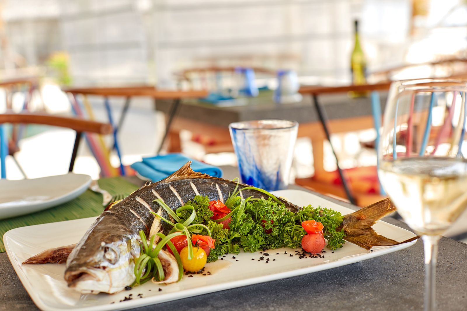 Grouper Grill