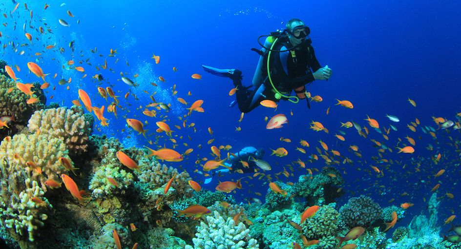 Diving