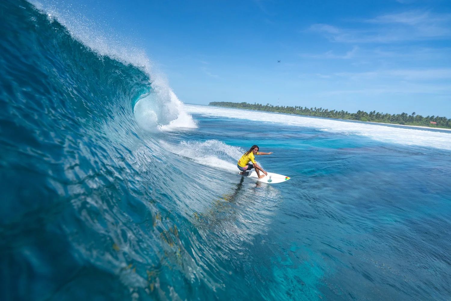 Surf