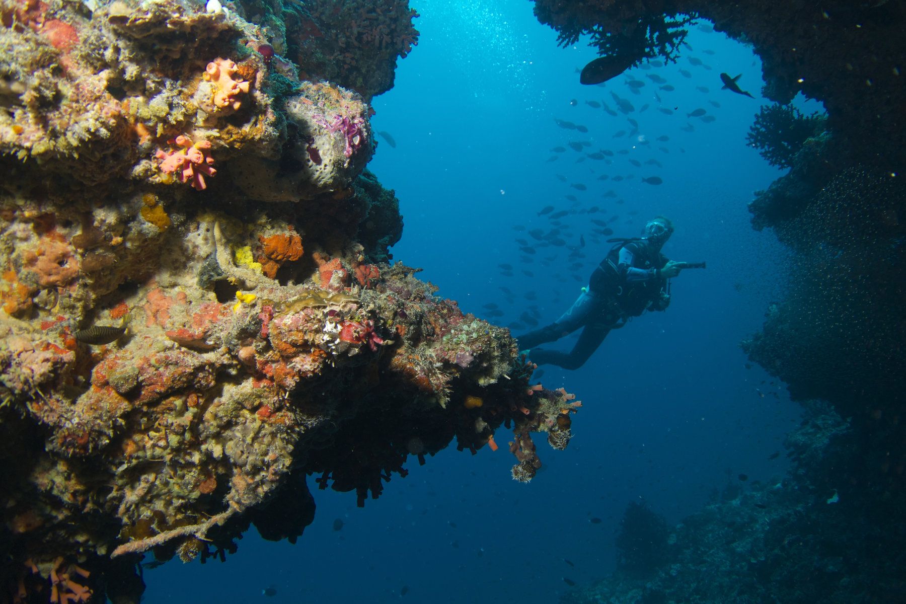 Diving
