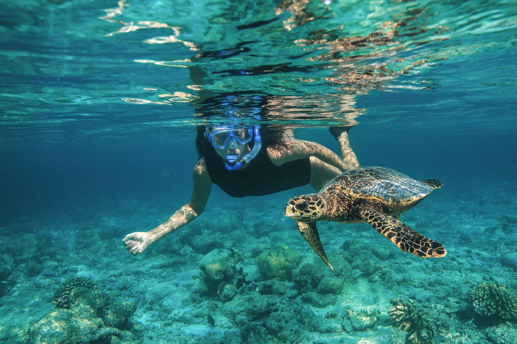 Snorkelling