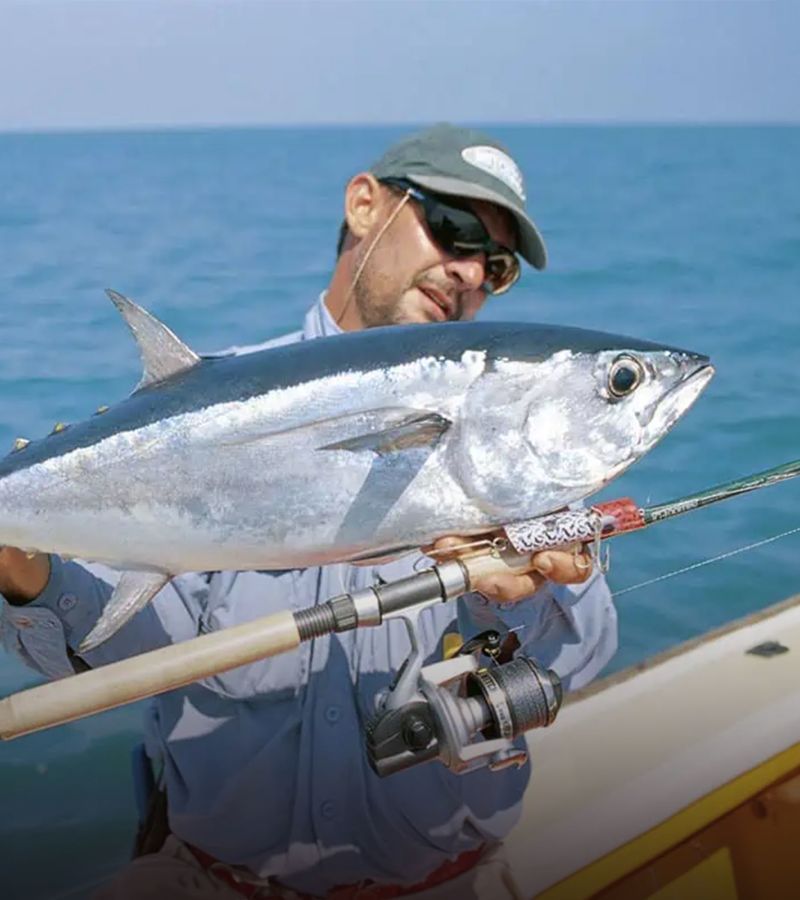 Big Game Fishing