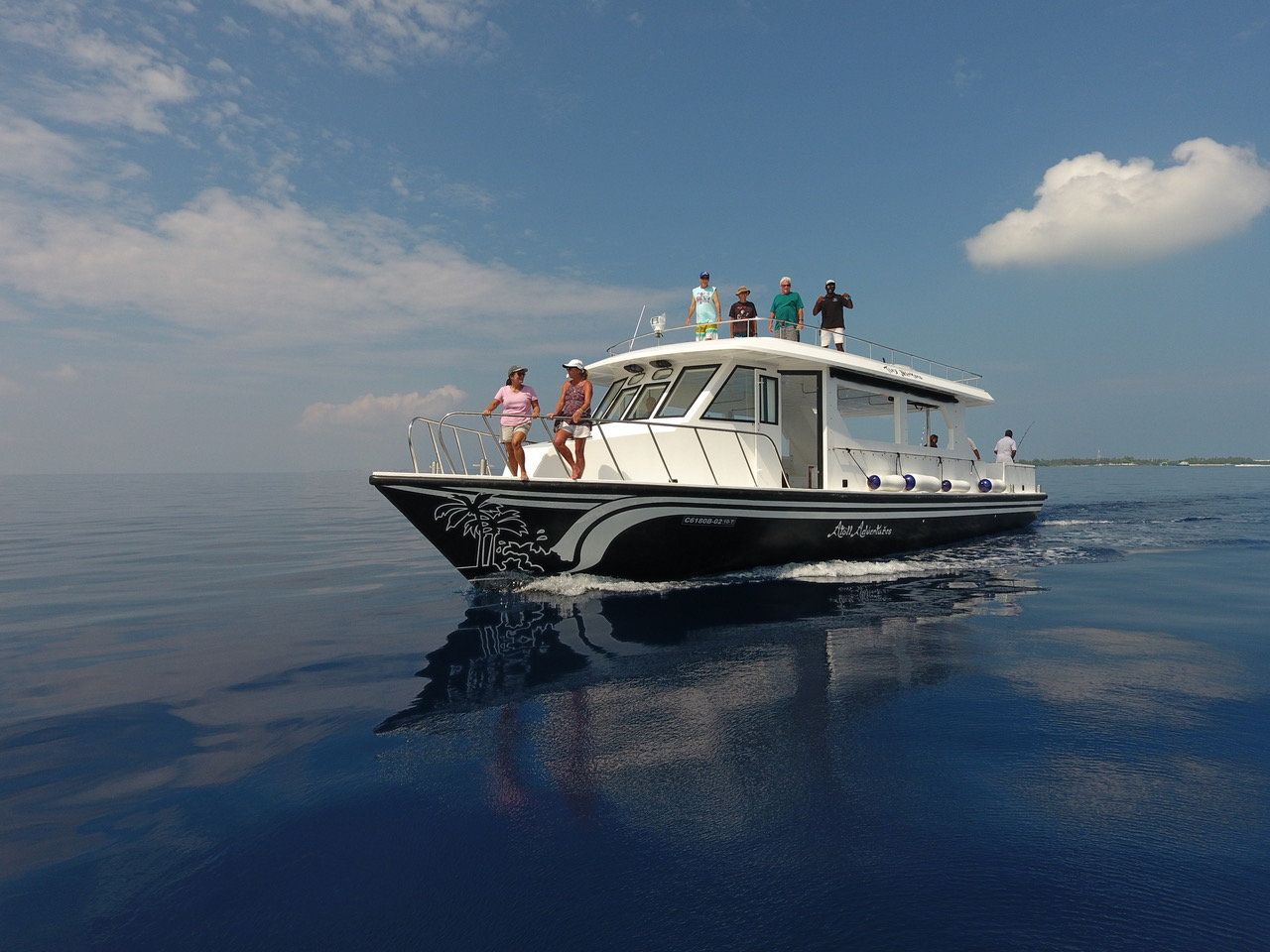 Private Dolphin Watching