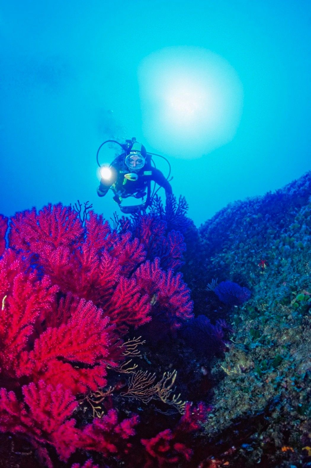 Diving