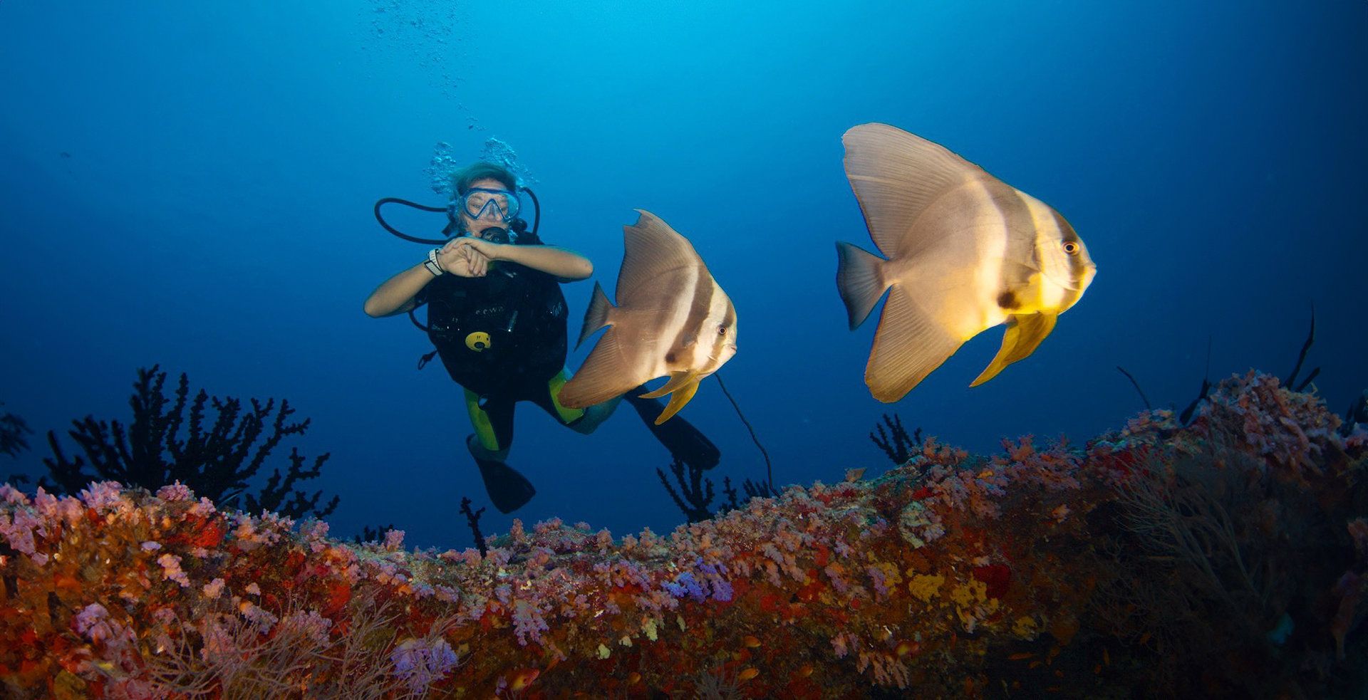 Diving 