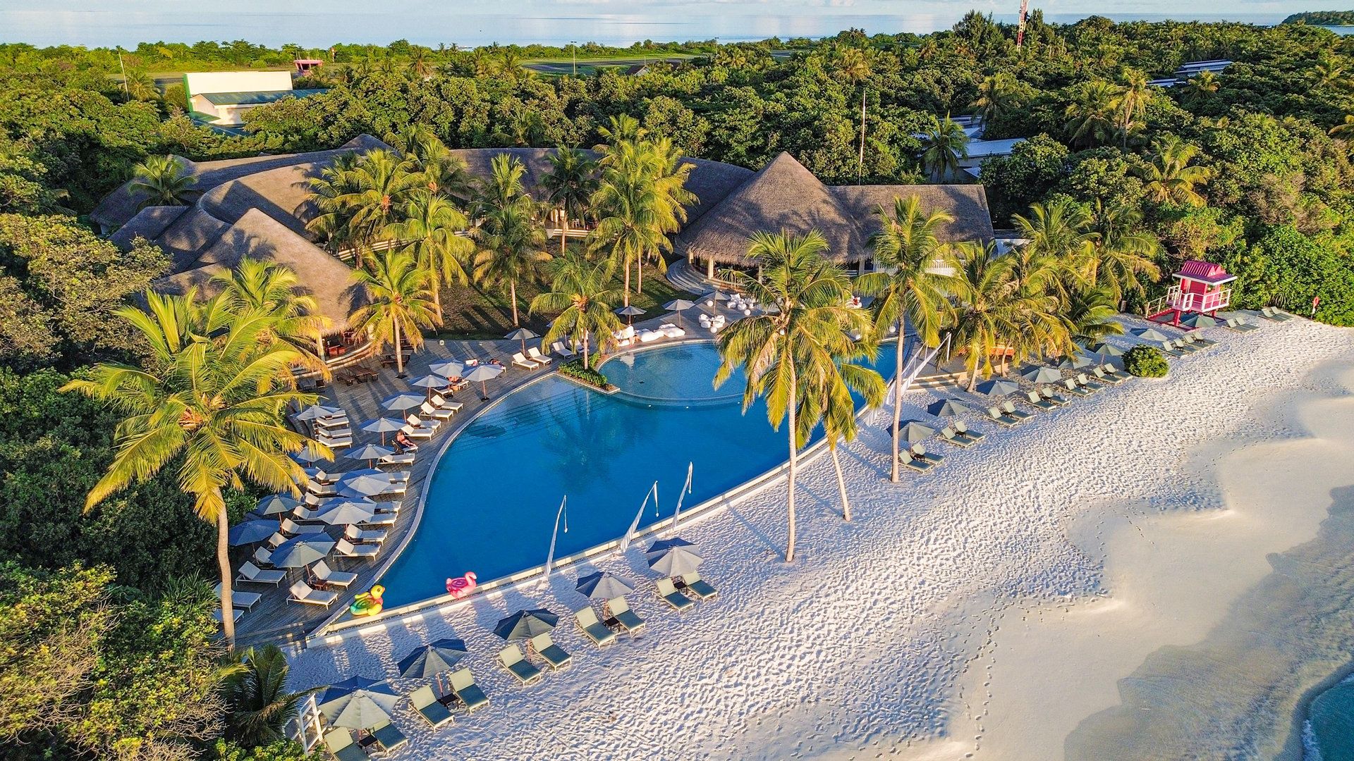 Beachfront Infinity Pool