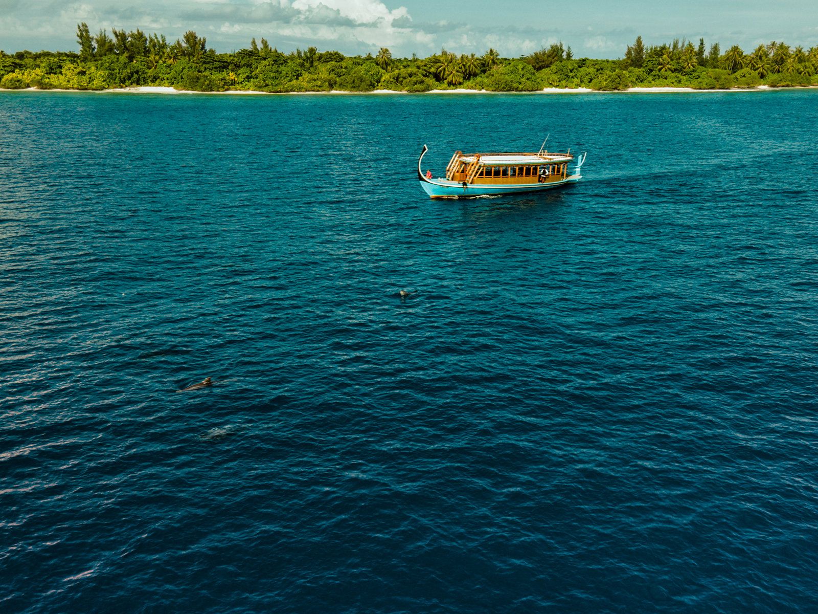 Blend Luxury Boat Experiences