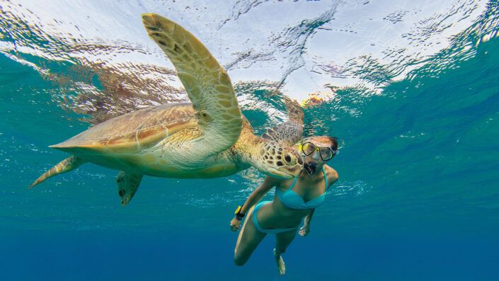 Snorkeling