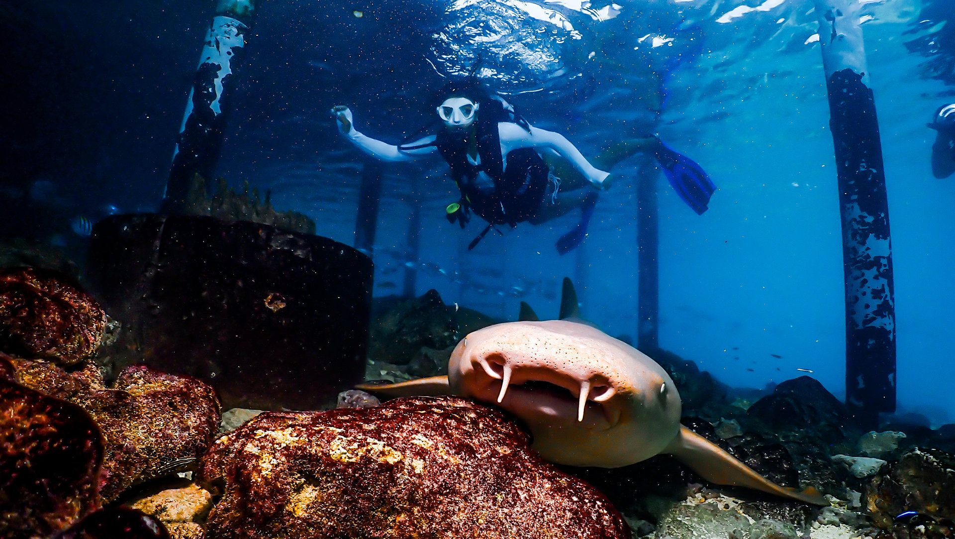 Diving