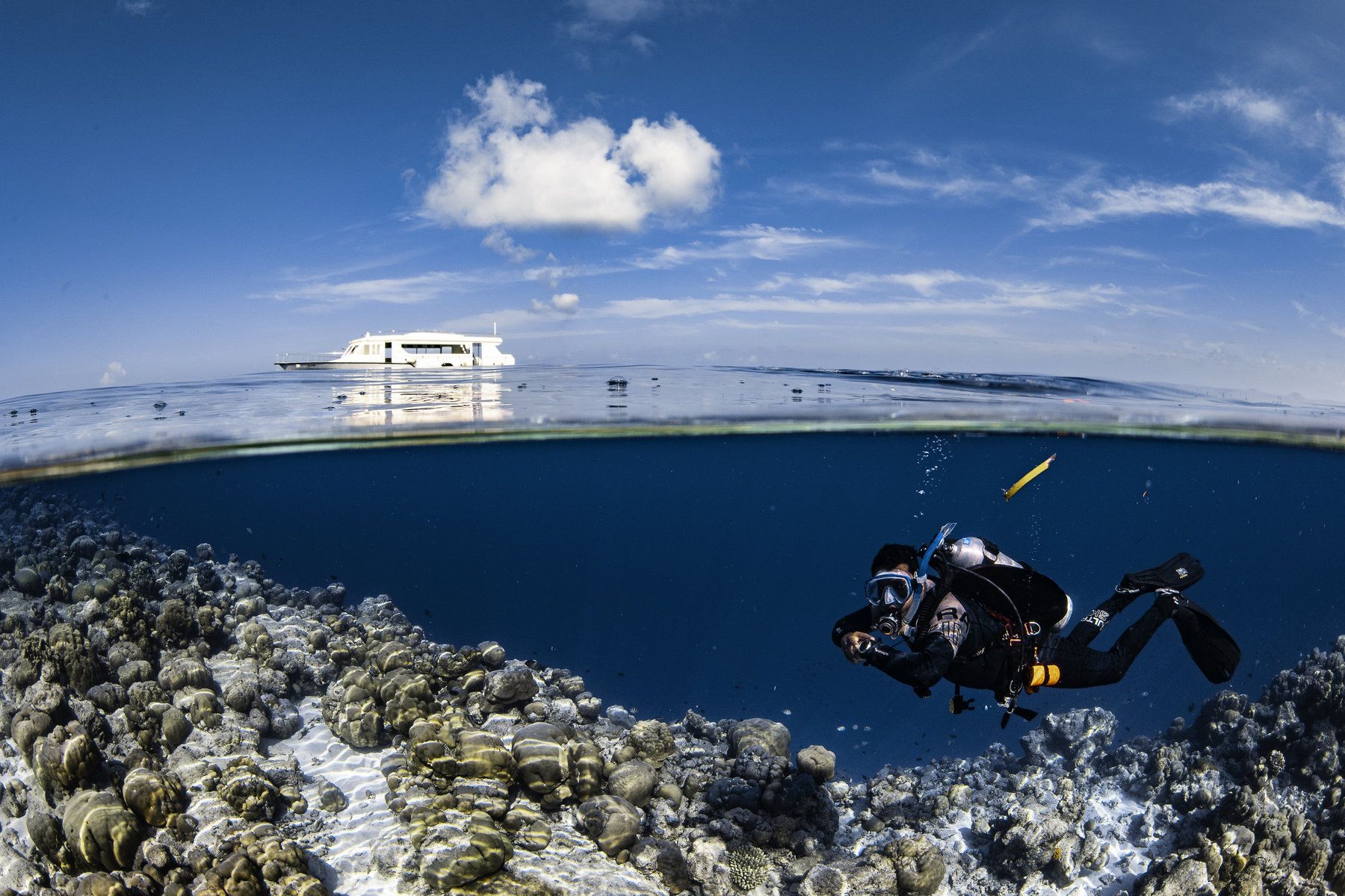 Diving