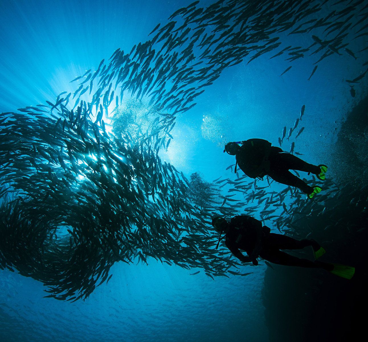 Diving