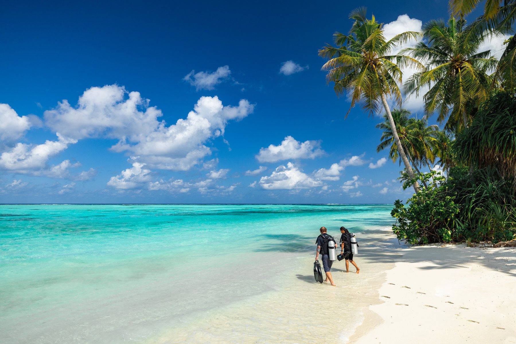 Diving & Snorkelling