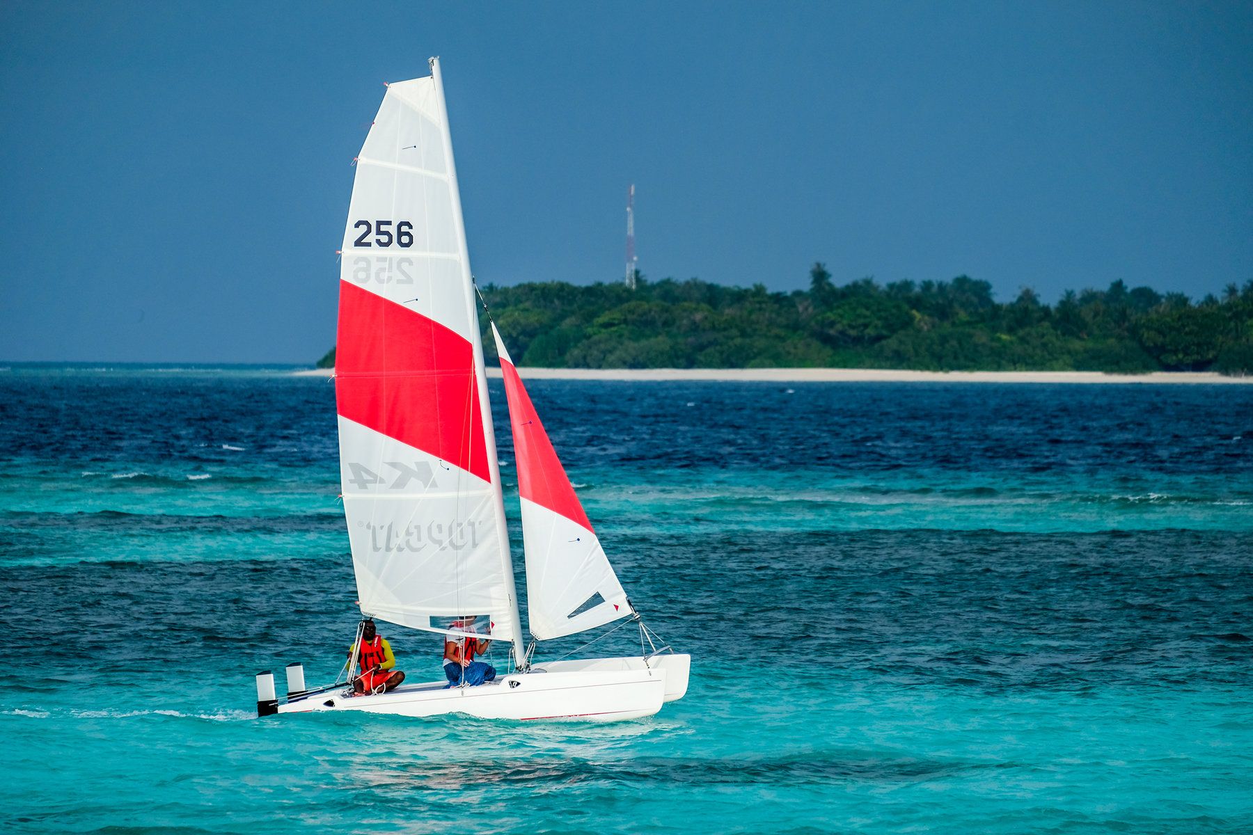 Catamaran Sailing