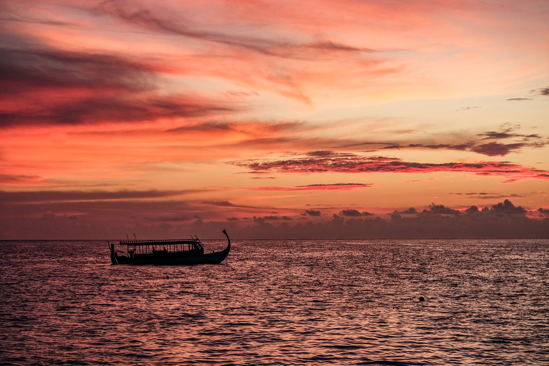 Fishing Excursions