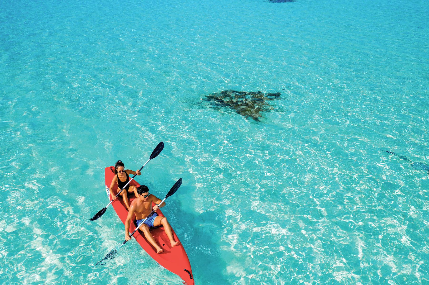 Aquatic Explorations