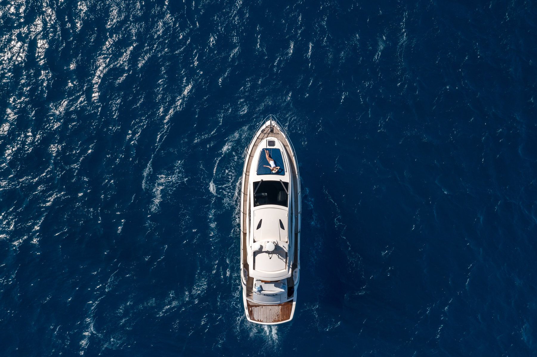 Marine Excursions