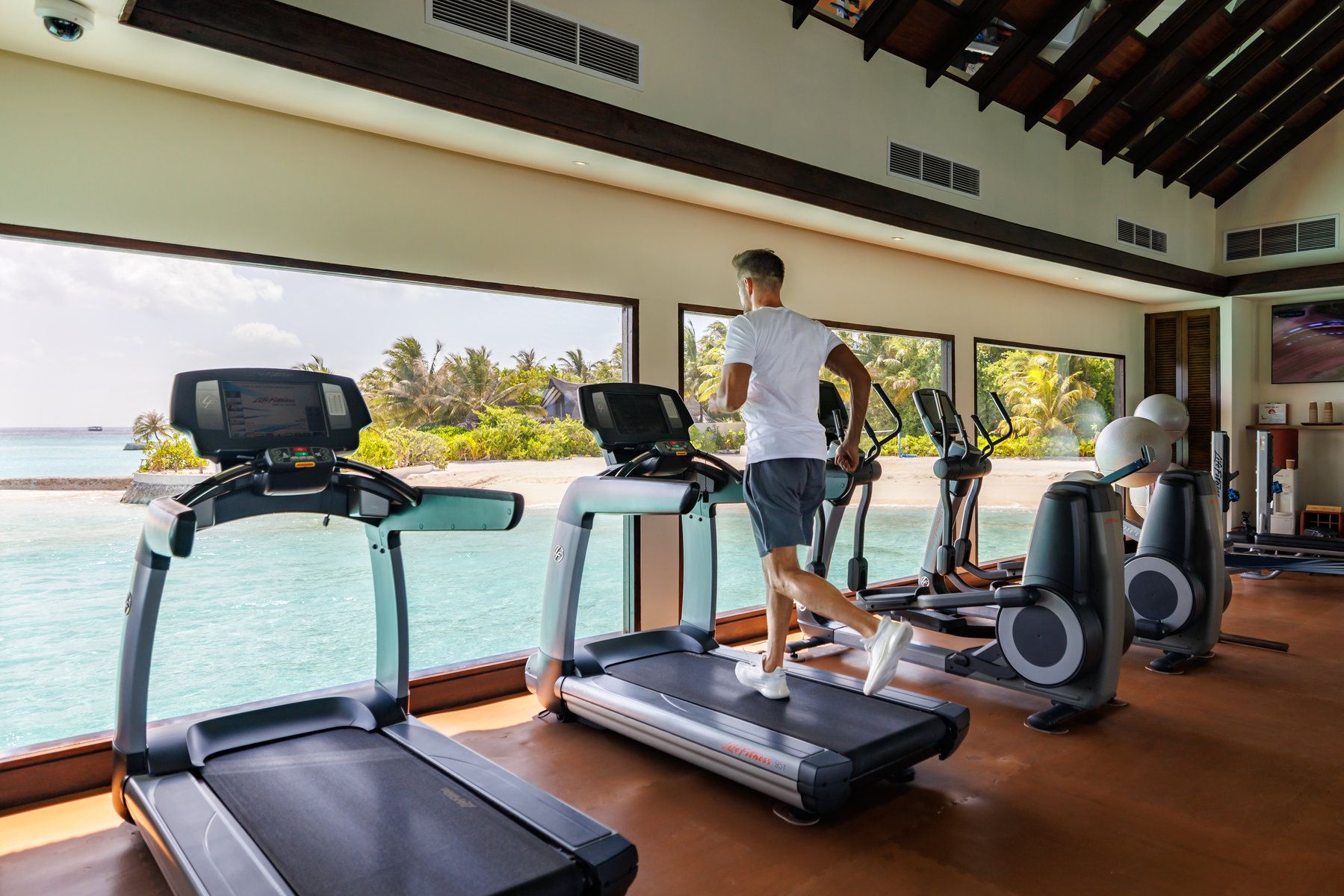 Wellness & Fitness