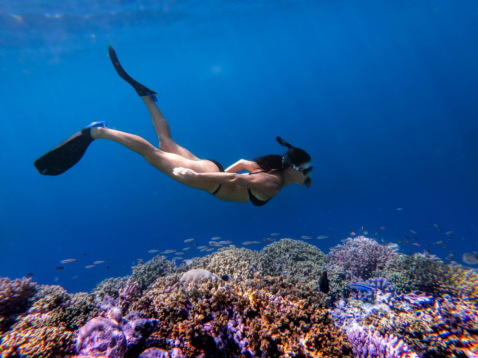 Diving & Water Sports