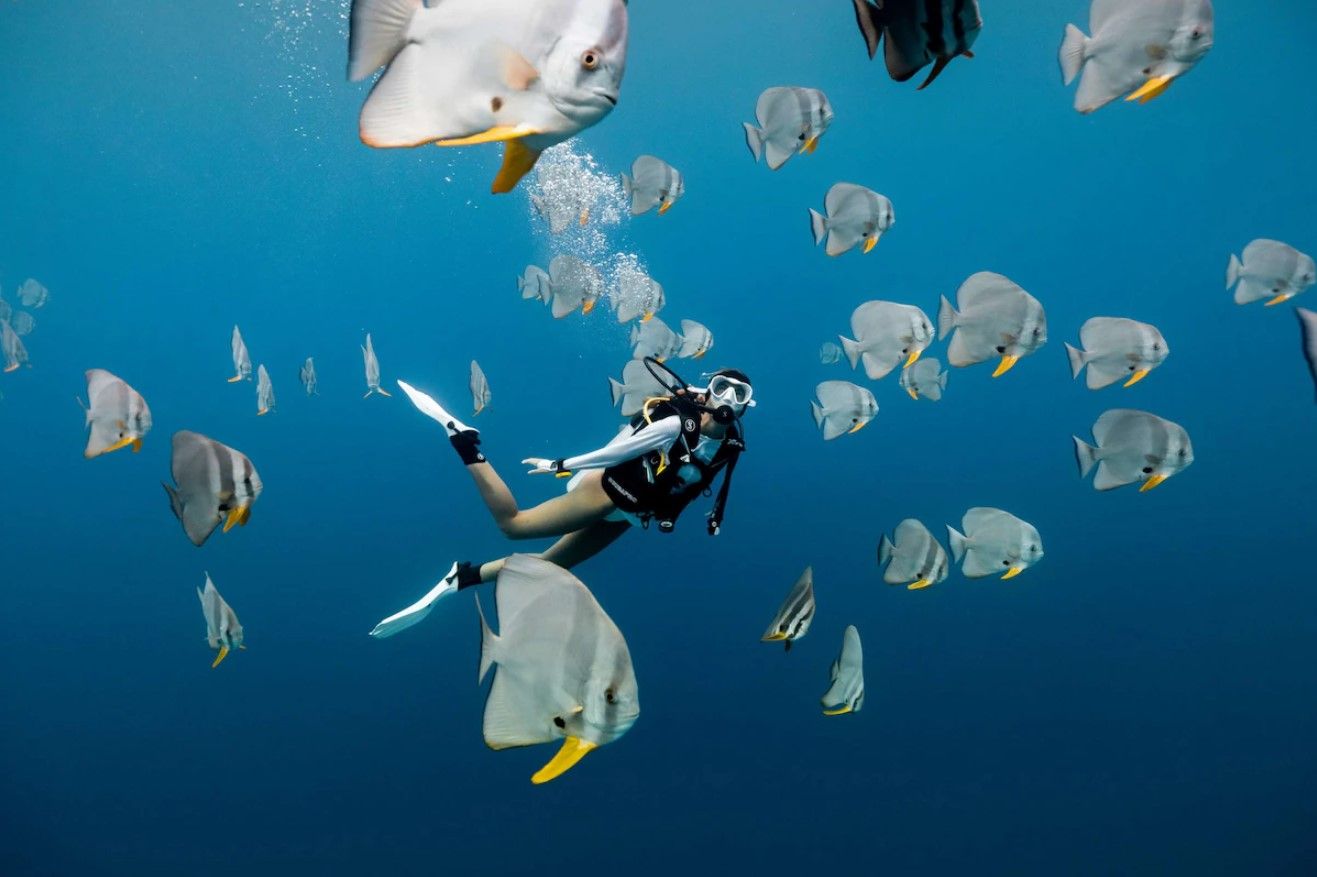 Diving