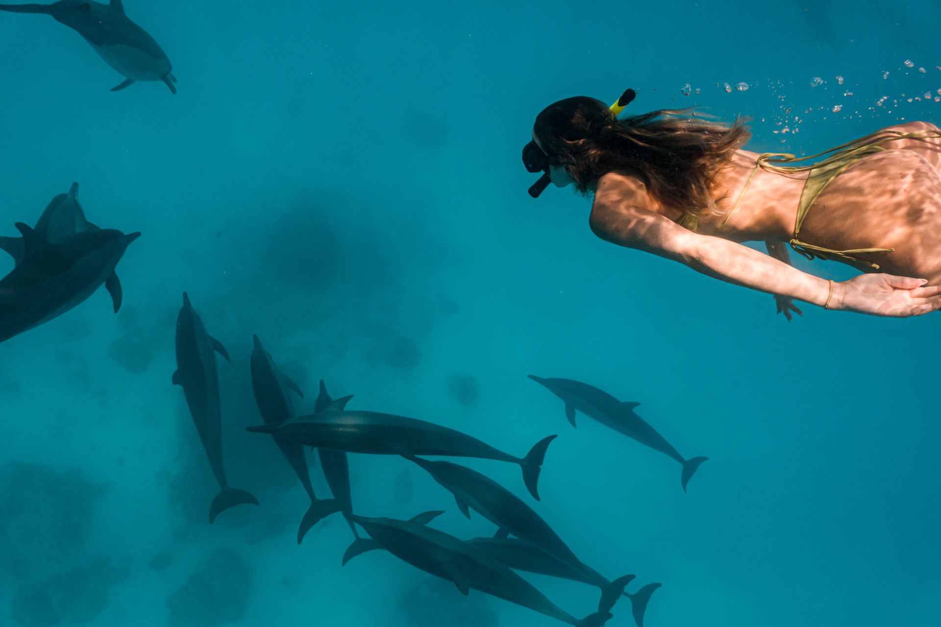 Diving