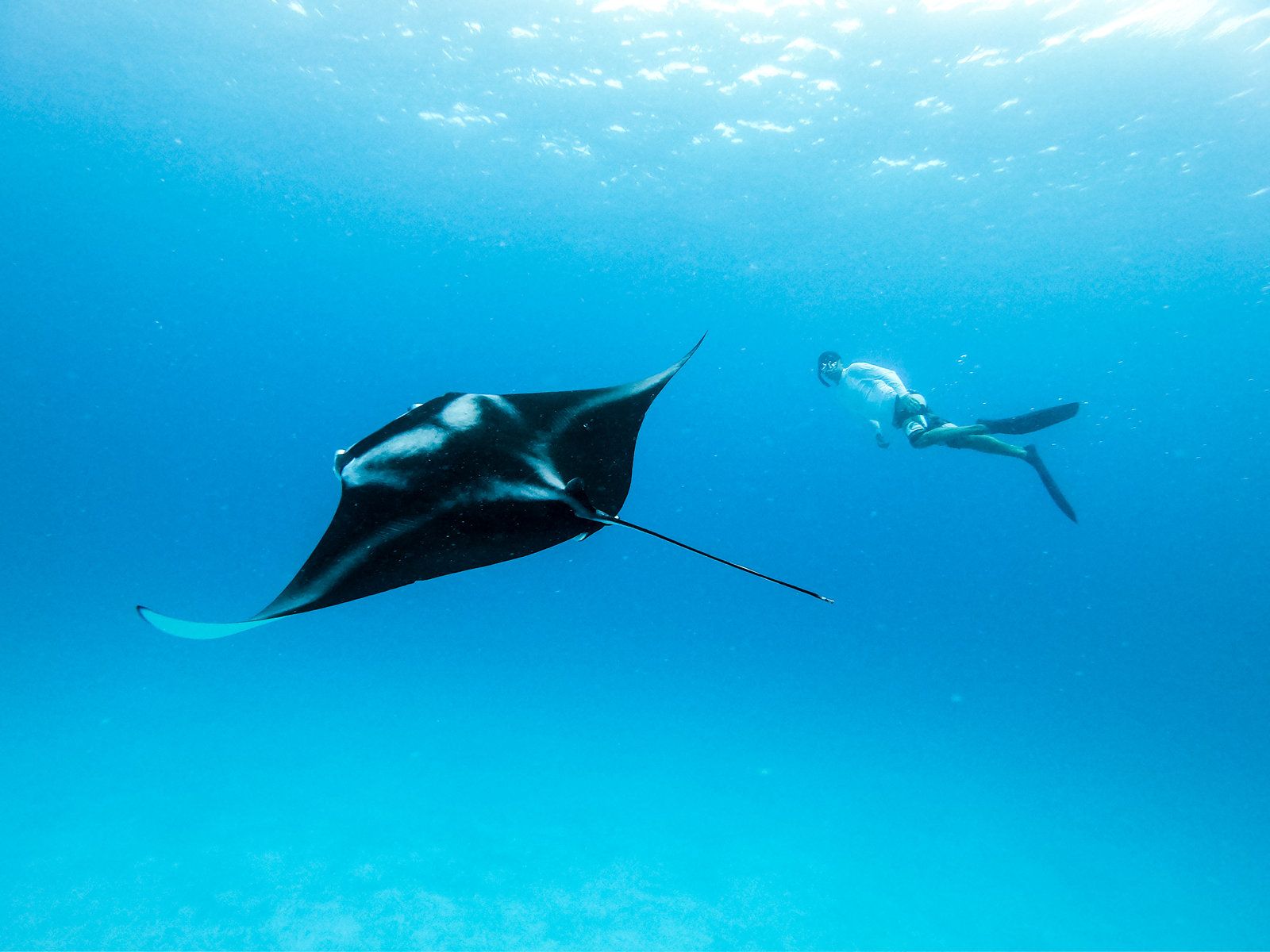 Scuba Diving