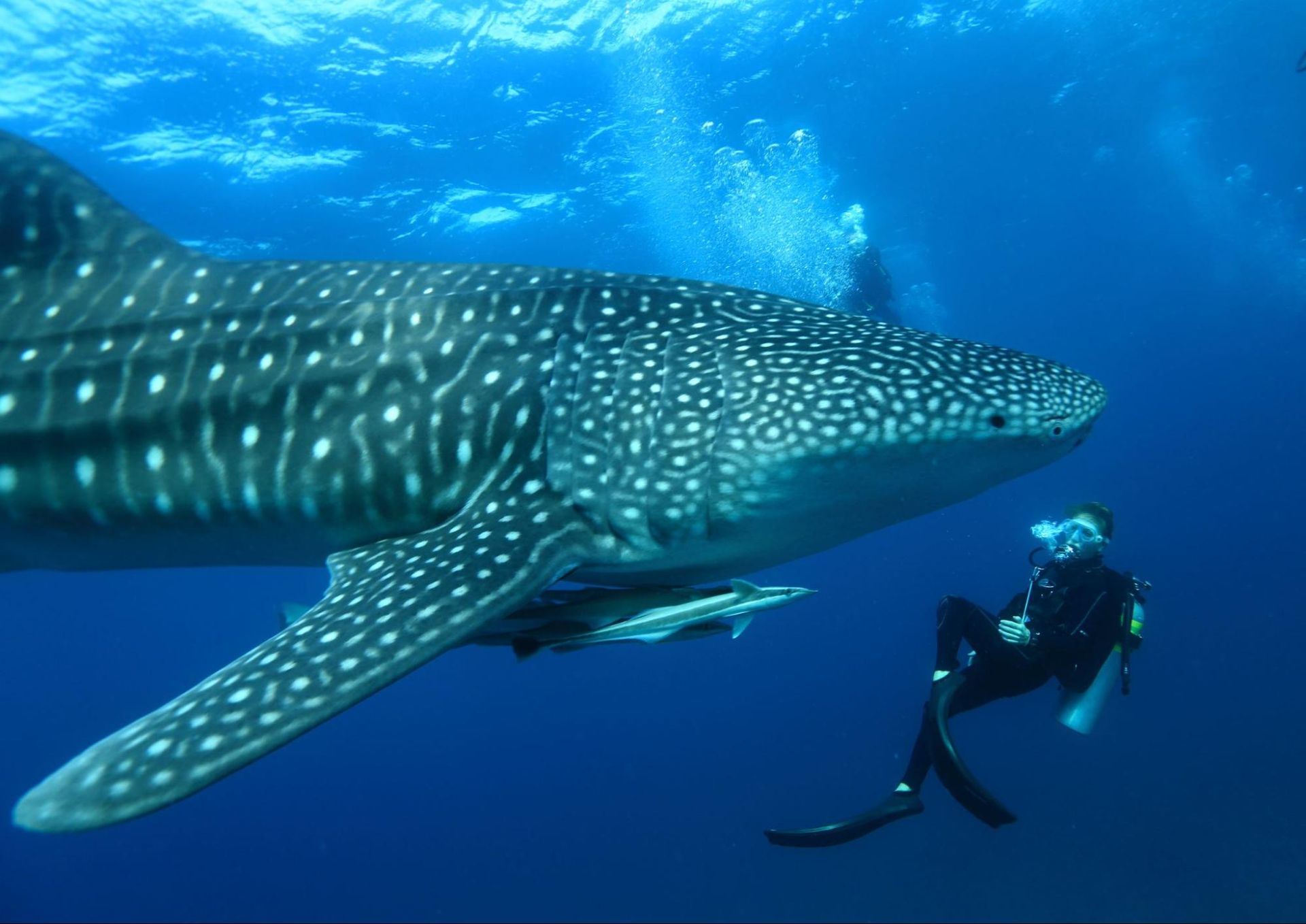 Snorkeling