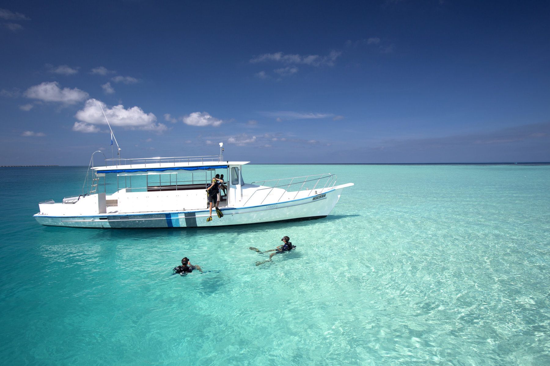 Dive & Discover